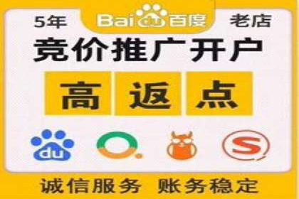 SEM推广策略：实战案例解析